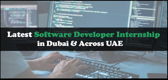 Software Developer Internship
